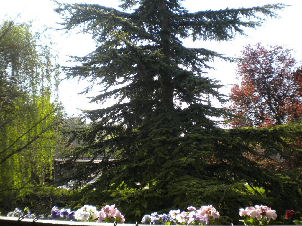 Villa Aux Marguerites à Sainte-Genevieve-les-Gasny Chambre photo